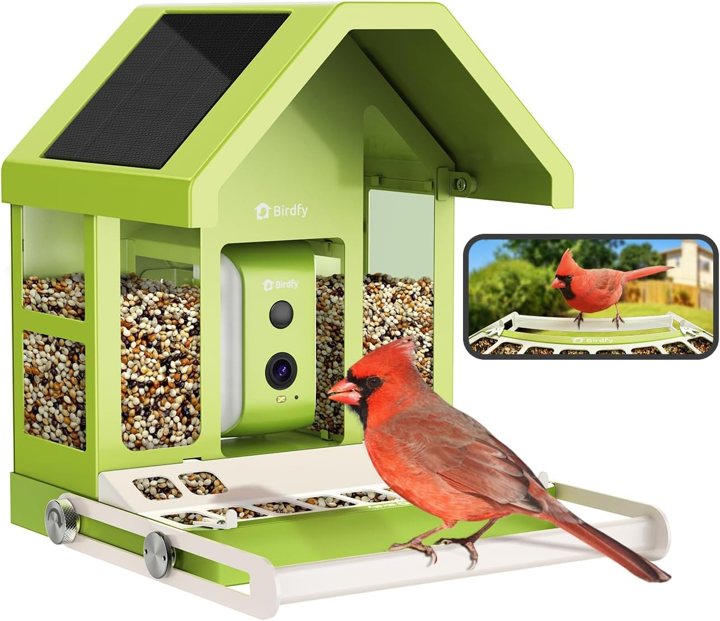 Birdfy Comedero de pájaros con cámara