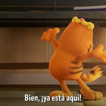 zooplus y Garfield