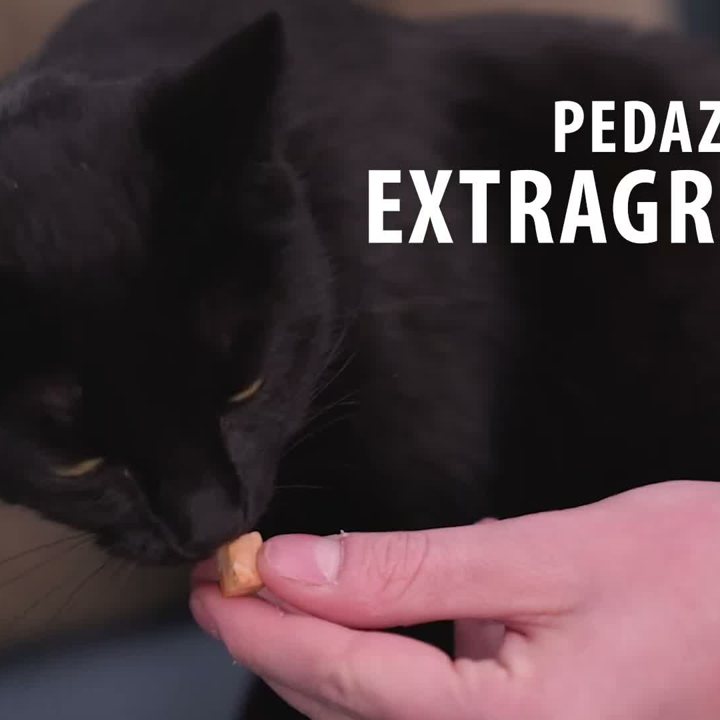 Cosma Snackies XXL