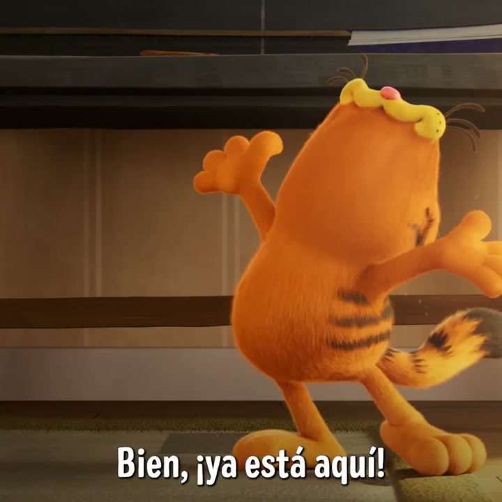 zooplus y Garfield