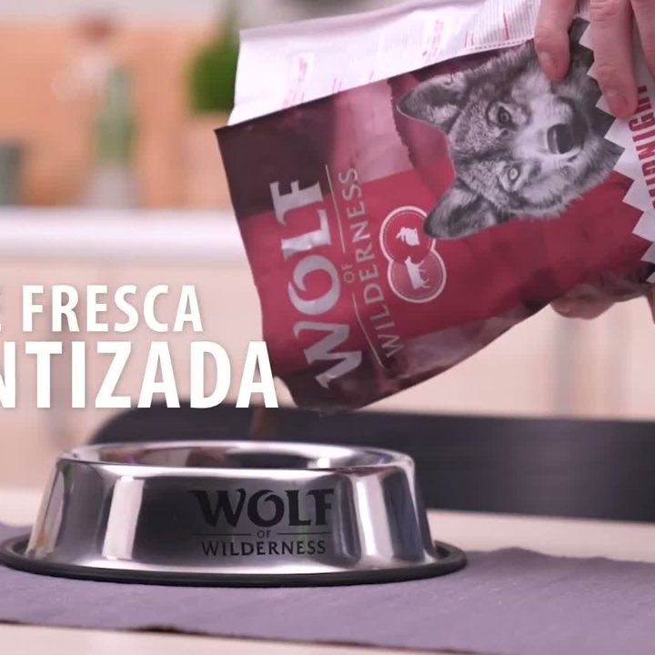 Wolf of Wilderness Ruby Midnight
